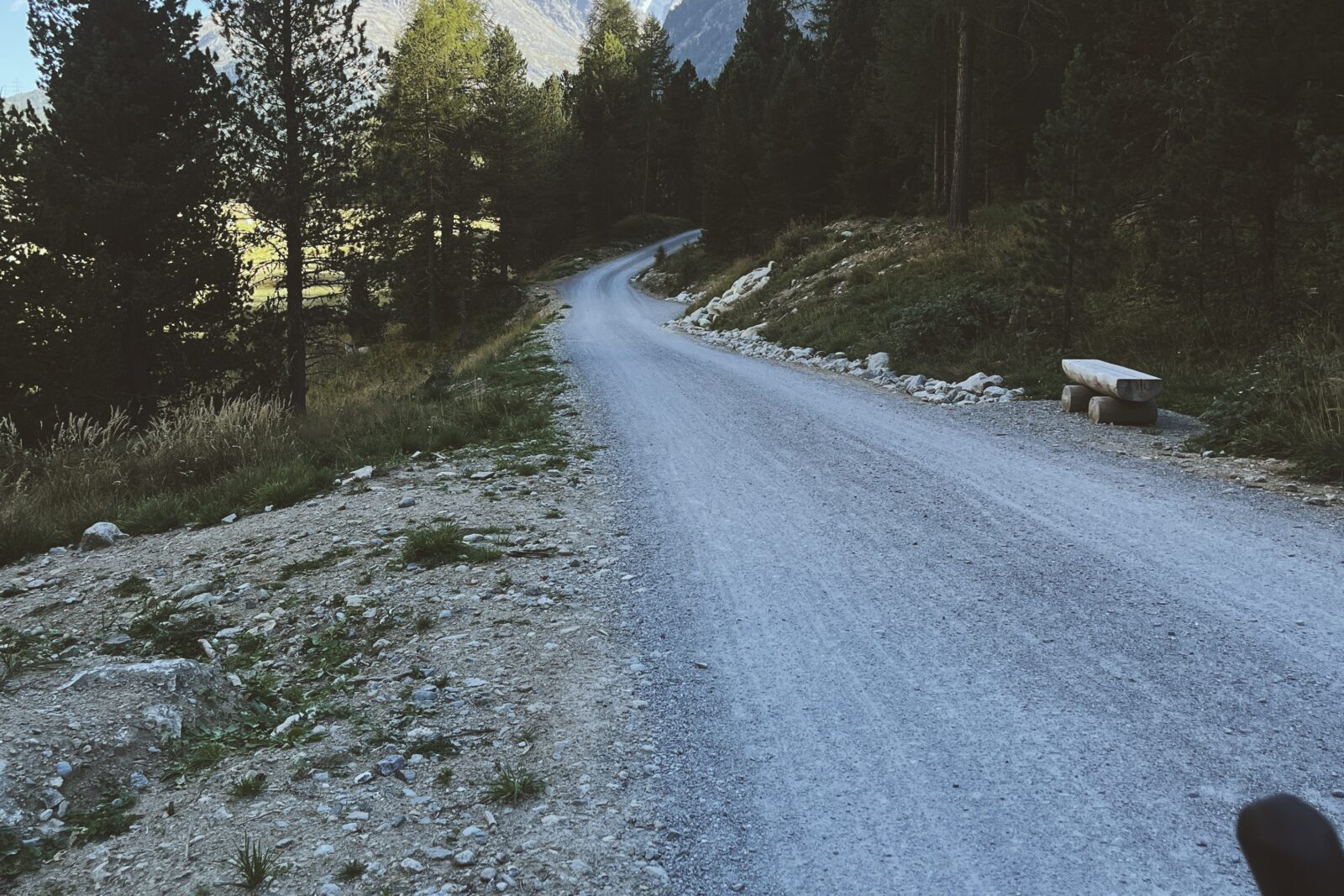 Fahrradlenker; Schotterweg, Bäume und weiße Gipfel am Horizont