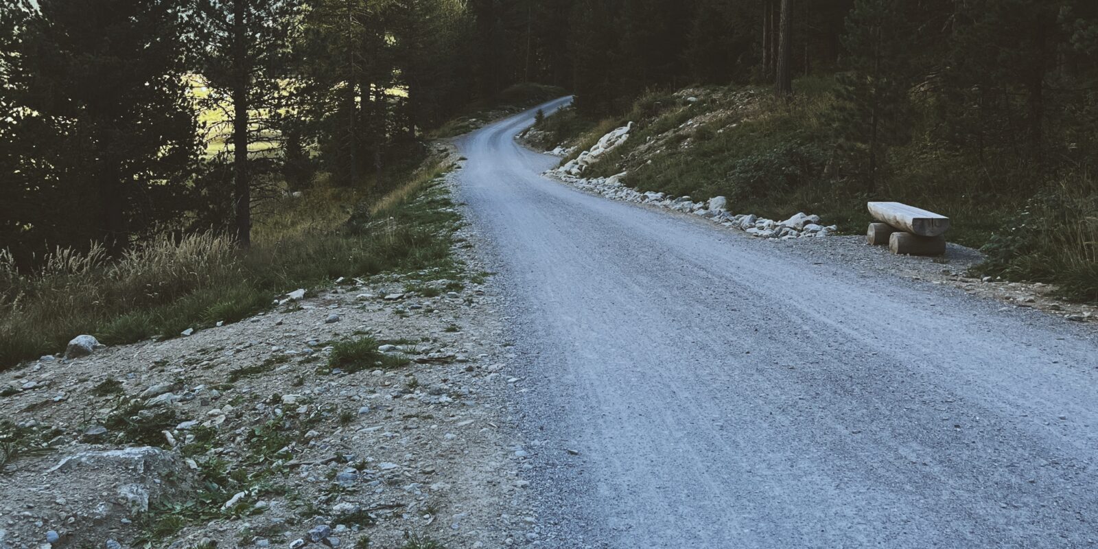 Fahrradlenker; Schotterweg, Bäume und weiße Gipfel am Horizont