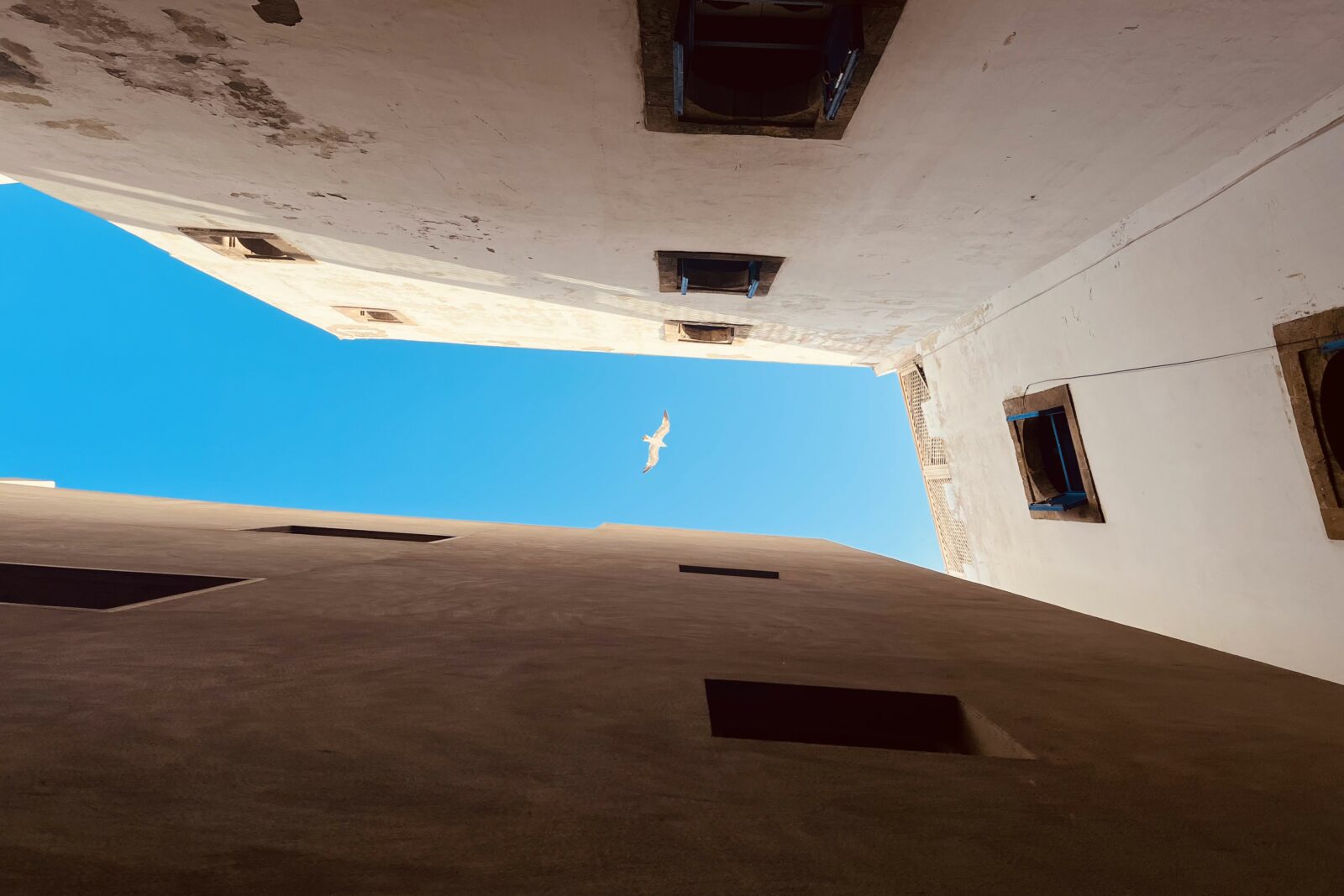 view up to the sky with white houses on the sides; seagull flying over the blue sky