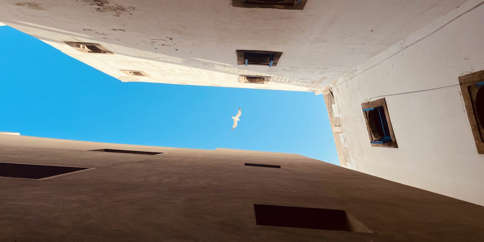 view up to the sky with white houses on the sides; seagull flying over the blue sky