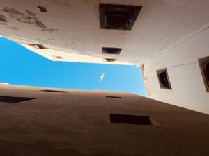 view up to the sky with white houses on the sides; seagull flying over the blue sky