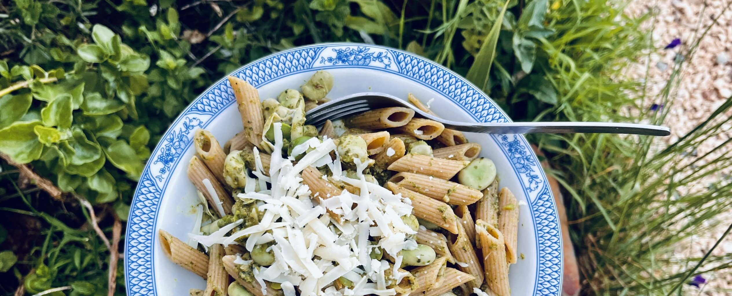 hand holding a plate with pasta and greens; seen from above before a bed of green grass and plants