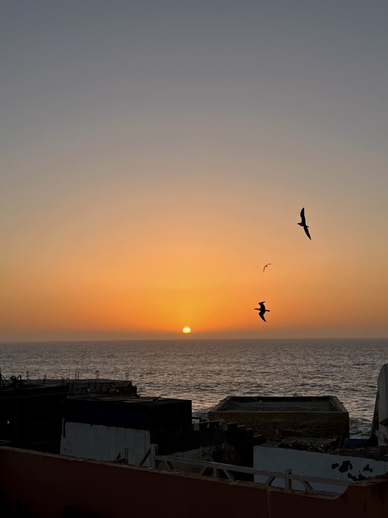 sunset view over the ocean; silhouettes of two birds flying towards the sun 